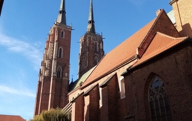 IMG_20221108_113336