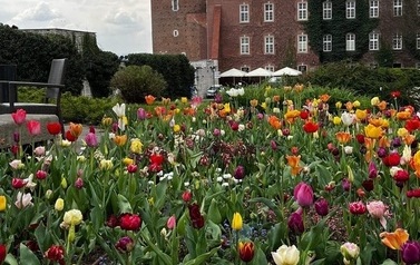 IMG_5838