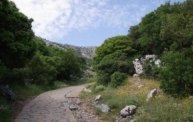 IMGP6121