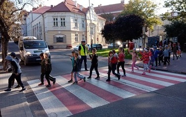 Czy &quot;zebra&quot; jest naszym przyjacielem? 2