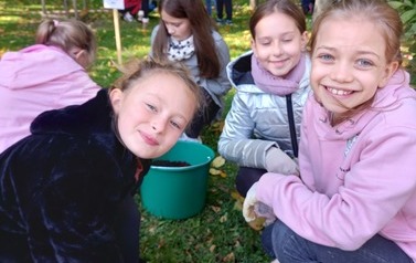 Akcja Krokus 11