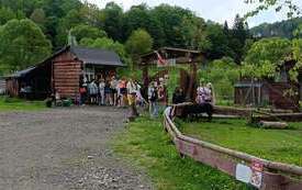 Galeria aktualności Kolej na Bieszczady  13