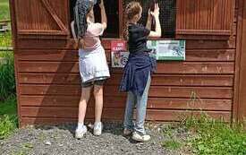 Galeria aktualności Kolej na Bieszczady  18