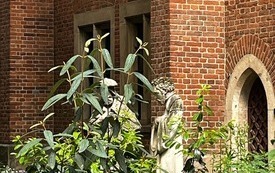 Galeria aktualności Klasa 7B odkrywała kolejne twarze Krakowa 10