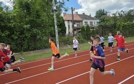 Galeria aktualności Kolejne sukcesy lekkoatlet&oacute;w z SP2 Jasło 14