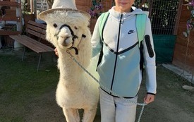 Galeria aktualności Dzień Chłopaka u zwierzaka 29