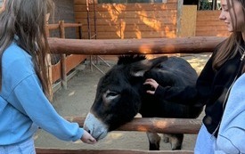 Galeria aktualności Dzień Chłopaka u zwierzaka 44