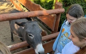 Galeria aktualności Dzień Chłopaka u zwierzaka 45