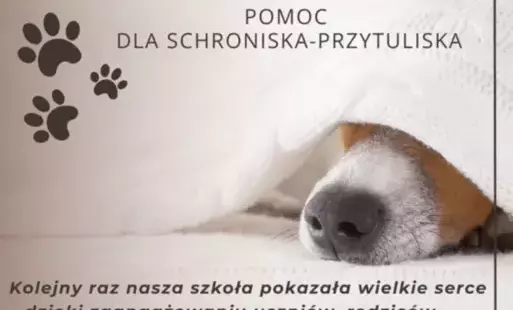 Zdjęcie do Pomoc dla schroniska-przytuliska - dziękujemy